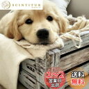 Reofrey DIY ダイヤモンドアートペインティングキット 大人用 犬用 ダイヤモンドアート 動物 フルドリル ラウンド ラインストーン クロスステッチ 刺繍 キャンバス クラフト装飾用 (40x40cm/16x16インチ)