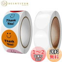 SensaBliss ありがとう シール 透明封印 シール セット 感謝 シール サンキューシール 丸型 カラー 笑顔の表情 Thank You シール 母の日...