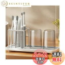 Sitengle 歯ブラシスタンド おしゃれ 電動歯ブラシ対応 歯ブラシ立て 歯ブラシホルダー 置き型 水切りトレー付き 歯磨きコップ収納 歯ブラシ入れ 仕切り 洗面所小物整理 歯磨き粉 髭剃り 洗顔料 お風呂 浴室アクセサリー (一段)