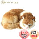 猫ぬいぐるみリアル寝そべりねこ本物そっくりネコちゃん置物部屋飾りインテリア#5