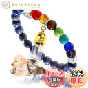 ペット 猫 犬 遺骨 肉球 メモリアル ブレスレット キーホルダー カプセル アクセサリー 弾力持ち おしゃれ かわいい 人気 ロケット 骨入れ 携帯型 ペンダ...