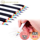 Rimikuru 鉛筆 2B えんぴつ レインボーえんぴつ 20本/30本 セット Rainbow Pencils 虹 かわいい (10本セット)