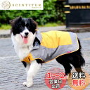 Umora 犬用レインコート カッパ 雨具 通気 帽子付 散歩用 小型犬 中型犬 大型犬 (オレンジ+グレー S)
