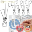Forahome 洗濯バサミ ステンレス 5個セット 室内 洗濯物干し 滑り止め キッチン 洗面所 浴室ピンチ 錆にくく 挟んで掛らける 使いやすい 靴下 タオル 小物吊り下げ収納 (シルバー)