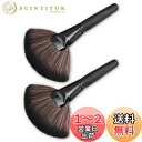【送料無料】Rimikuru クリーニングブラシ 0.01mm 超極細ブラシ 掃除 ホコリ落とし 静電気防止 プラモデル フィギュア セット (2点セット)