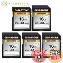 Gigastone SDカード 16GB 5枚セット, 高速 フルHD ビデオ SDHC メモリーカード 16GB 5-Pack, Full HD デジタルカメ...