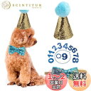 ペット用帽子 蝶ネクタイ 2点セット 猫 犬 誕生日帽子 数字付き キラキラ かわいい コスチューム 誕生日グッズ 誕生日 記念日 お祝い パーティー 写真撮影 (ブルー)