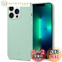 Spigen iPhone13Proケース マット感 衝撃吸収 薄型 さらさら 米軍MIL規格取得 黄変なし 超極薄 レンズ保護 超軽量 指紋防止 擦り傷防止 ワイヤレス充電対応 シン・フィット ACS03493 (ミント)