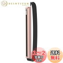 Apple Pencil2 ケース Dadanism Apple Pencil 第1/2世代/USB-C兼用 収納ケース iPad 第10世代 10.9、iPad Air5/4/3、iPad Pro 11、iPad Pro 12.9、iPad 9/8/7/6 10.2、Surface 9.7-12.9インチのタブレット ジッパー式 PU バンド付 ペンシルケース 紛失防止 ピンクゴール
