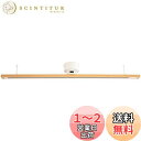 Ampoule ダクトレール ライティングレール シーリングライト おしゃれ 天然木 リビング ダイニング 寝室 北欧 カフェ ナチュラル シンプル インダストリアル カジュアル 照明器具 間接照明 オーク LED 木目 ウッド Asenta アセンタ