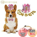 ペット 誕生日帽子 蝶ネクタイ 犬 猫 花 王冠 数字付き クラウン キラキラ おしゃれ クリスマス 記念日 誕生日グッズ 2個セット (ピンク)