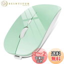 マウス Bluetooth 充電式 ワイヤレスマウス 薄型 無線マウス 静音 2.4GHz 3DPIモード 光学式 高精度 持ち運び便利 Mac/Windows/Surface/Macbook/iPad/iPhone/PCに対応 (グリーン)