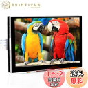 OSOYOO IPS 5 インチ TFT タッチスクリーン MIPI DSI コネクタ LCD ディスプレイ モニター Raspberry Pi 5 4 B 3...