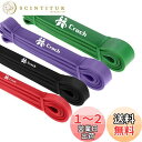 Croch トレーニングチューブ 懸垂チューブ フィットネスチューブ ゴムチューブ ストレッチ 筋トレ エクササイズバンド 高強度 丈夫 懸垂補助 チューブ ト...
