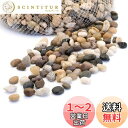 DMAND アクアリウム 彩り石 水槽用飾り石 ガーデニング用飾り石 8~18mm 観賞 魚 水族用品 底砂・砂利 天然カラー 1袋約500g