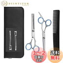 AutoGo 散髪 ヘアカット すきばさみ セット セルフカット 初心者 プロ並み仕上がる 家庭用 美容師 高級シザー 人間工学 コンパクト
