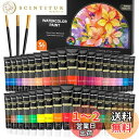 【送料無料】Shuttle Art 水彩絵の具 36色セット 透明水彩 12ml チューブ 大人の塗り絵 水彩画 お絵描き 美術 画材セット 学校用 幼稚園 初...