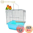 Gifty 鳥 ケージ 止まり木付き 小型 鳥かご 小鳥 文鳥 手乗り用 ゲージ インコ 移動 キャリー お出かけ バードケージ 持ち運び