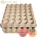 A'sTool 卵トレー 卵パック 紙製 コオロギ デュビア 昆虫飼育 10枚セット