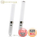 【2個セット】コンサートライト ペンライト 18色カラーチェンジ 自動切替+手動切替 LED 高輝度 応援用品 超軽量ライブ電池式 操作簡単 コンサート/夜の宴会/お祭り/キャンプ/カラオケ忘年会パーティーなど適用