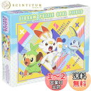 エンスカイ 300ピース ジグソーパズル ポケットモンスター サルノリ&ヒバニー&メッソン(38×53cm) 300-L557 ポケモン