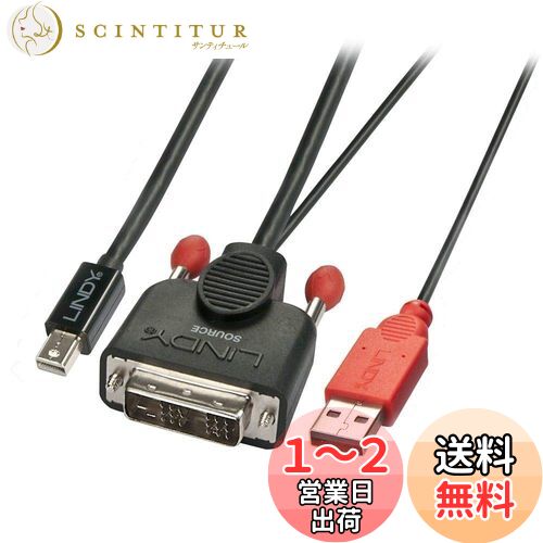 LINDY DVI-D - Mini DisplayPortѴ֥롢USBť֥ա5m(:41999)