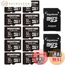 Gigastone マイクロSDカード 32 GB 10個セット SDアダプタ付き ミニ収納ケース付き SDHC U1 C10 90MB/S Class 10 ...