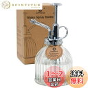 OFFIDIX 霧吹き 園芸 観葉植物 スプレー インテリア じょうろ 240ml シルバーポンプ (透明)