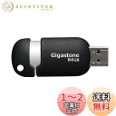 Gigastone V10 64GB USBメモリ USB 2.0 キャップレス タイプ スライド式 ブラック