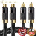 FosPower (3m X 2本) 光デジタルケーブル TOSLINK (トスリンク) オーディオ オプティカルケーブル (角型-角型)【高耐久 24K金メッキプラグ | 金属コネクタ | 編組ナイロン ジャケット | 光同軸 S/PDIF OPTICAL】サウンドバー、テレビ、TV/PC スピーカー、PS3/PS4/Xbox 3