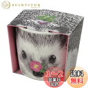 聖新陶芸 通年 家庭菜園 簡単 栽培キット ゆったり育てる ミニバラ 花 栽培セット ( 自由研究 ) 鉢の径9cm HANA&ANIMALS ハリネズミ 母の...