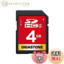 Gigastone 4GB SDカード UHS-I Class 4 C4 SDHC メモリーカード ビデオ デジタルカメラ SD card ミニケース1個付き