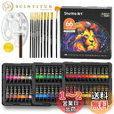 Shuttle Art アクリル絵の具 82点セット 66本 ペイントブラシ10本 パレート付き 速乾 耐久 チューブ 22ml 手作り 布/石/ガラス/セラミ...