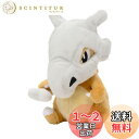 ポケモンセンターオリジナル ぬいぐるみ Pok?mon fit カラカラ 13×12×8(H×W×D:cm)