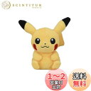 ポケモンセンターオリジナル ぬいぐるみ Pok?mon fit ピカチュウ 12×12×8(H×W×D:cm)