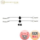 Mxfans 2枚入 RC1/10 ボディシェルクリップピン ラジコンカー用 100MM ネジ付き N10258BL ブラック