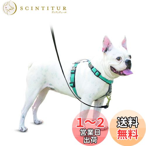 PetSafe（ペットセーフ） 犬用ハーネス 3in1ハーネス ティール（グリーン） Sサイズ