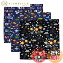 COLORFUL CANDY STYLE ランチクロス 男の子 3枚セット 給食 ナフキン お弁当 スタンダード 45×45cm 正方形 恐竜・惑星・電車セット...