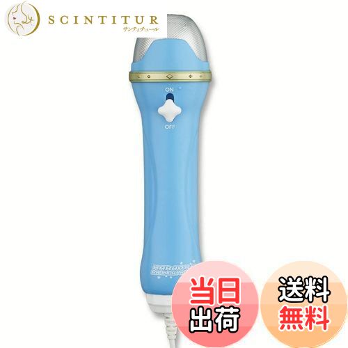 【送料無料】カラオケランキンパーティ 専用デュエットマイク