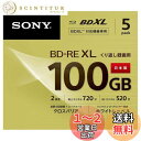 ソニー ブルーレイディスク BD-RE XL 100GB (1枚あたり地デジ約12時間) 繰り返し録画用 5枚入り 2倍速ダビング対応 ケース付属 5BNE3V...