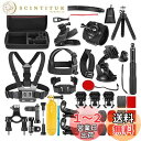 NEEWER 50 in 1 アクションカメラアクセサリーキットコンパチブルGoPro Hero 13 12 11 DJI OSMO 4 3 2 Insta360 X4 X3 SJCAM AKASO VicTsing APEMAN Campark Sports DV GP-10アクションカメラポールマウント付き