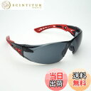 【送料無料】サングラス スポーツ UVカット 軽い 曇らない 保護めがね bolle RUSH PLUS_スモーク