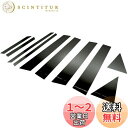 BRIGHTZ ラクティス 120 125 超鏡面ステンレスブラックメッキピラーパネル バイザー無用 10PC 【 PIL-BLA-356 】 ラクテイス NSP120 NCP120 NCP125 NSP NCP P120 P125 15356