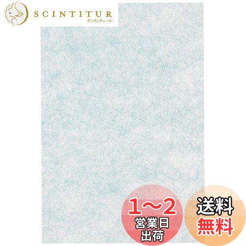 ڽʡ ˥ (Dainichi) ü ե륿  Хꥢե륿 H060309