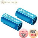 パナレーサー(Panaracer) 用品 バルブコアツール 2個セット 2ピース仏式バルブ専用 ブルー VCT-2-L