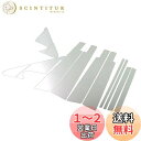 BRIGHTZ ヴァンガード 33 38 超鏡面ステンレスメッキピラーパネル 12PC バイザー有用 【 PIL-SIL-110 】 ACA33W ACA38W GSA33W ACA33 ACA38 GSA33 ACA GSA A33 A38 30 ヴアンガード バンガード 1216
