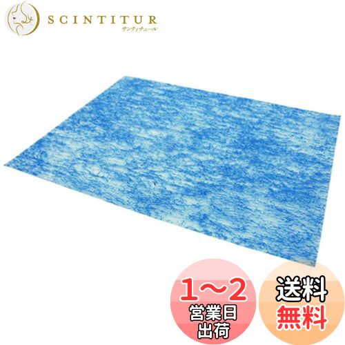 ڽʡ ˥ (Dainichi) ü ե륿  륹ե륿 H060534 ֥롼