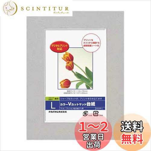 ʥХ䥷 Digio֥顼Våȥޥå L 졼 DGVM-L-N [ե]