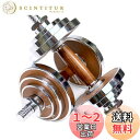 PROIRON ダンベル 10kg 2個セット革新的なウォールナット・鋼製の20kg 可変 ダンベル アレー 二重アンチルーズロック保護 筋トレダンベル ウェイ...