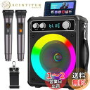 VOSOCO カラオケセット ワイヤレスマイク2本 スピーカーセット 家庭用 カラオケマイク 拡声器 Bluetooth 5.0 PAセット 小型 カラオケマシ...